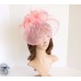 Jumbo NEW Church Derby Wedding Feather floral Sinamay Fascinator Pink 511  eb-04749093